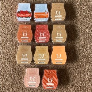 Cozy Cookie Scentsy (for @happy59)